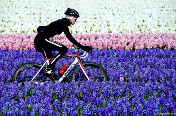 bici e fiori