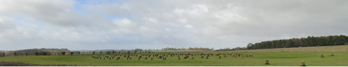 Woodhenge