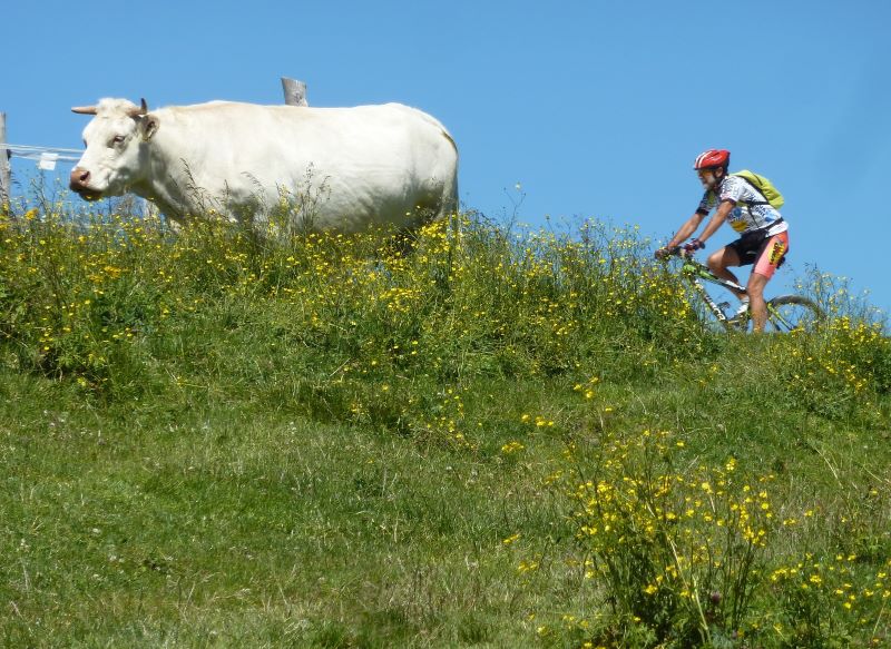 2025 cammini o cicloviaggi ciaobici. mod JPG