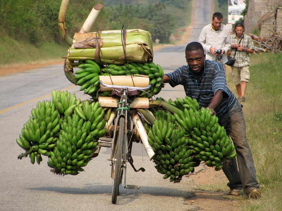 ciaobici ebike ebikemood